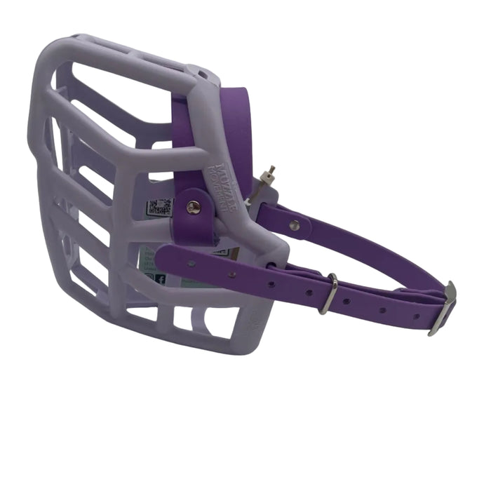Rex* - Lilac with Amethyst Purple biothane (Nickle)