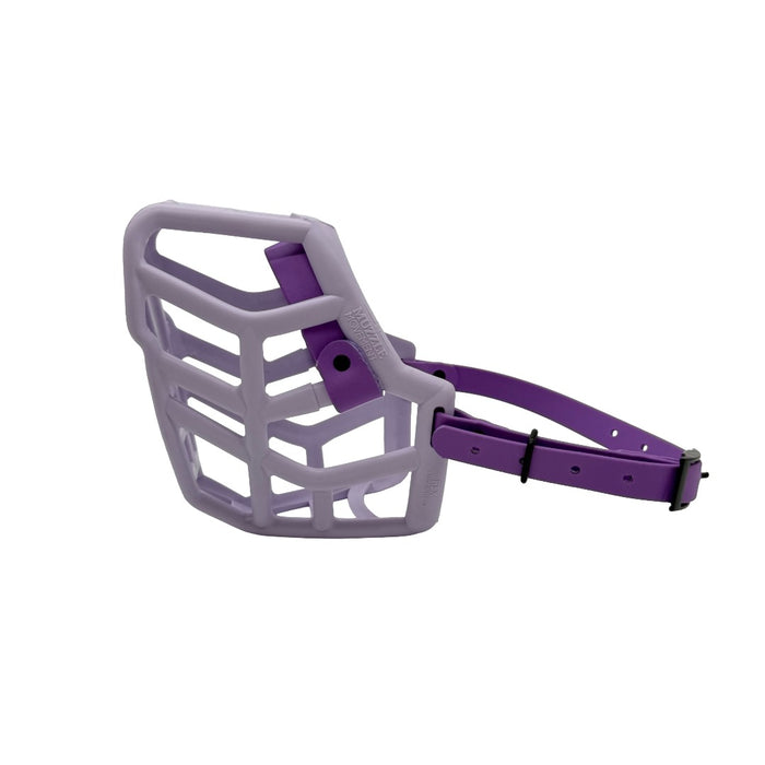 Rex - Lilac with Amethyst Purple biothane (Black)