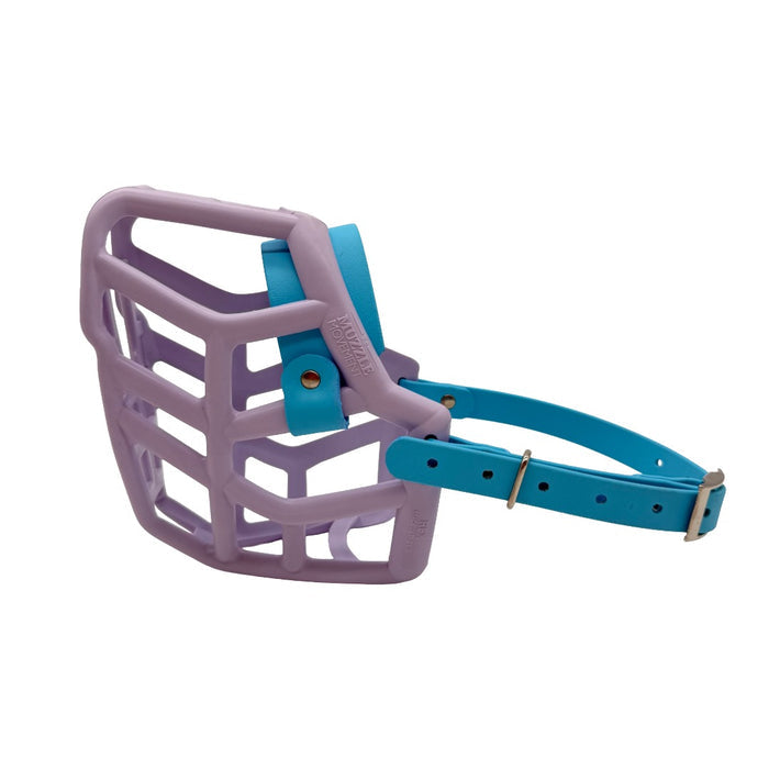 Rex* - Lilac with Skyan Blue biothane (Nickle)