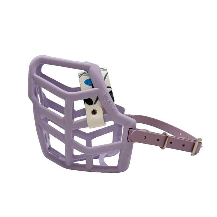 Rex* - Lilac with Twinkling Lights noseband & Pastel Purple straps (Nickle)