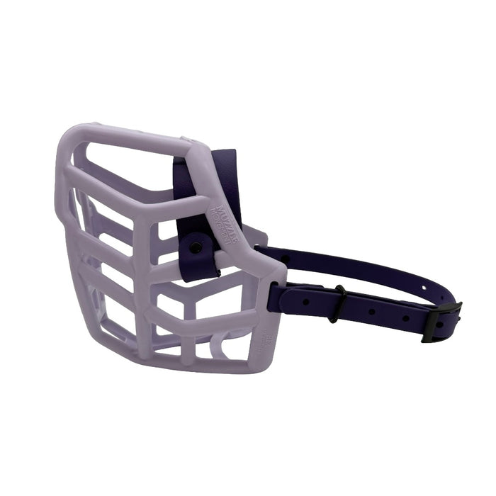 Rex* - Lilac with Violet biothane (Black)