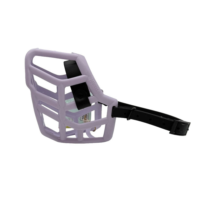 Rex - Lilac with Black biothane (Black)
