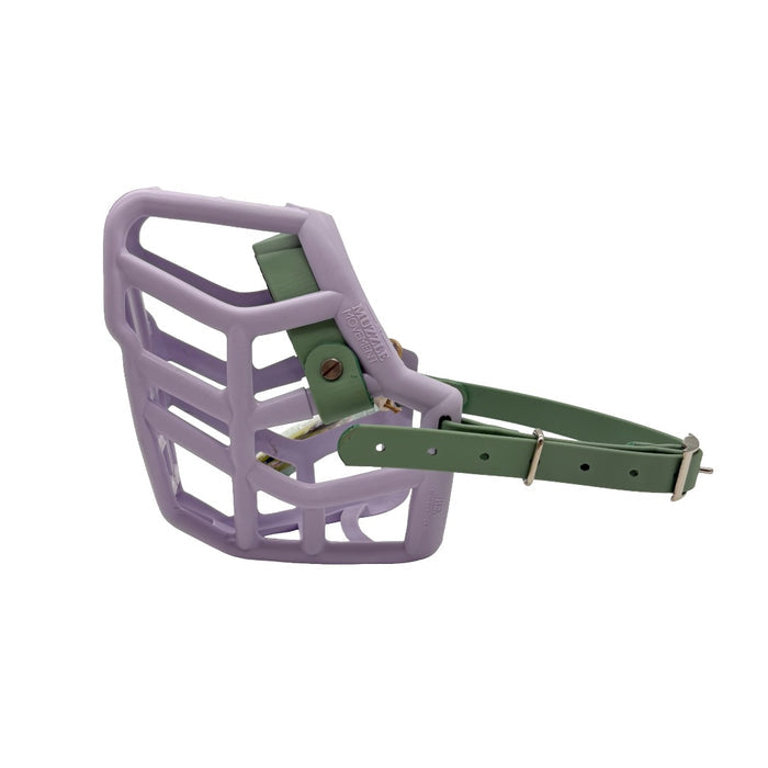 Rex - Lilac with Sage Green biothane & foam noseband (Nickle)