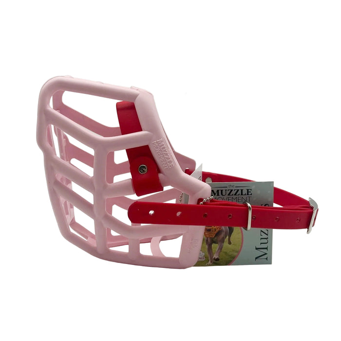 Size Rex Dog Muzzle - ready to ship