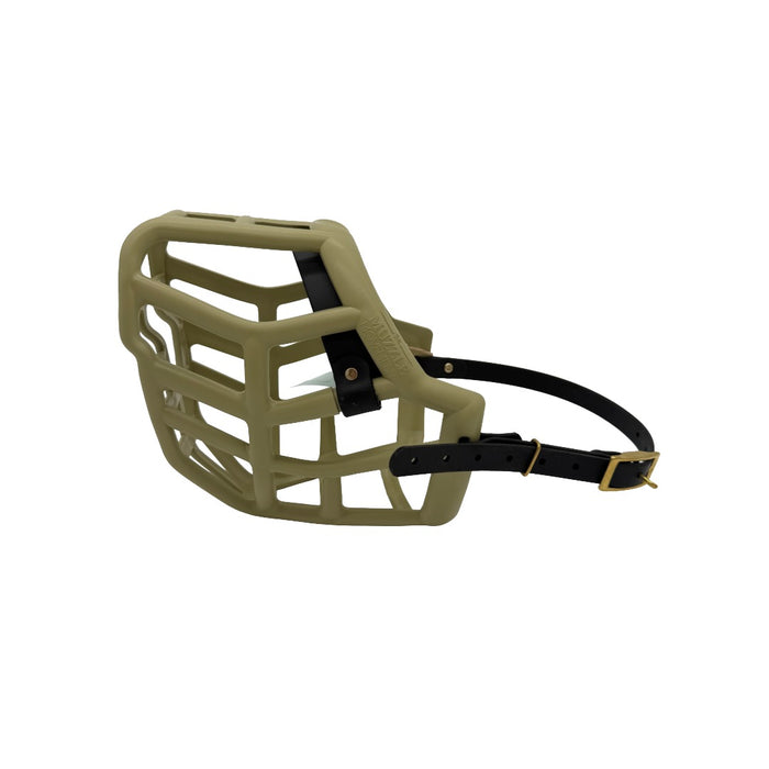 Sunny - Khaki with Black biothane (Brass)