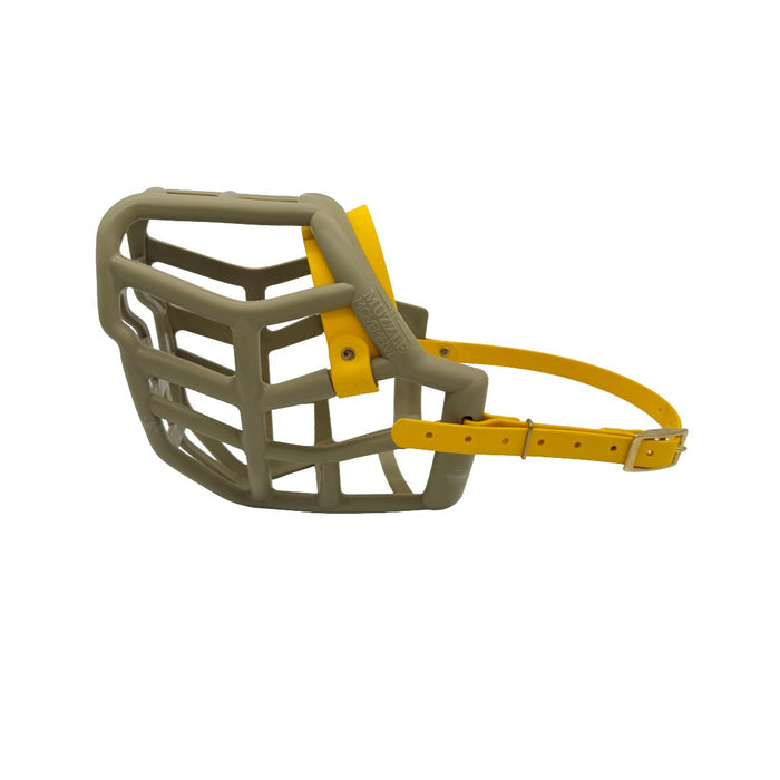 Sunny* - Khaki with Yellow biothane (Brass)