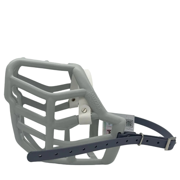 Sunny - Grey with White noseband & Grey biothane (Nickle hardware & Chicago Screws)
