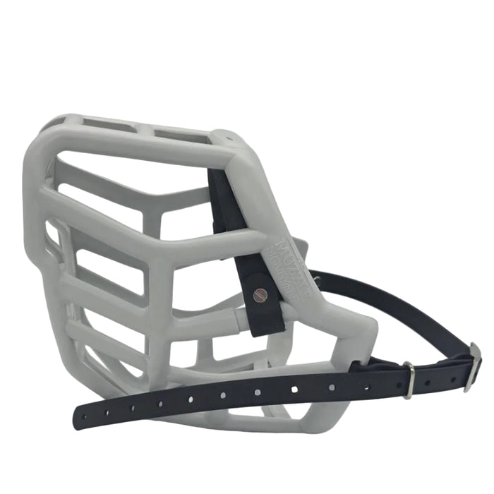Size Sunny Dog Muzzle - ready to ship