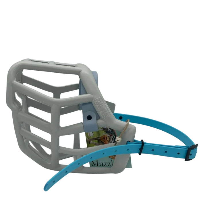 Sunny - Grey with Pastel Blue noseband & Skyan Blue biothane (Black)