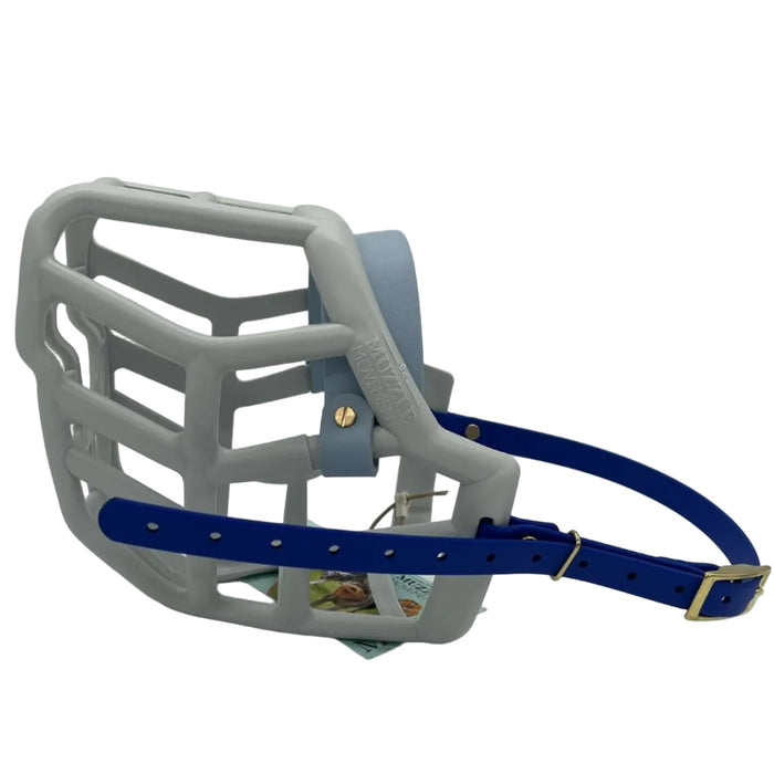 Sunny* - Grey with Pastel Blue noseband & Dark Blue biothane (Brass hardware & Chicago Screws)