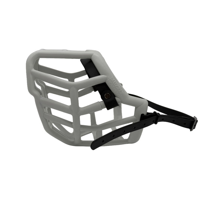 Sunny - Grey with Black biothane & foam noseband (Black)