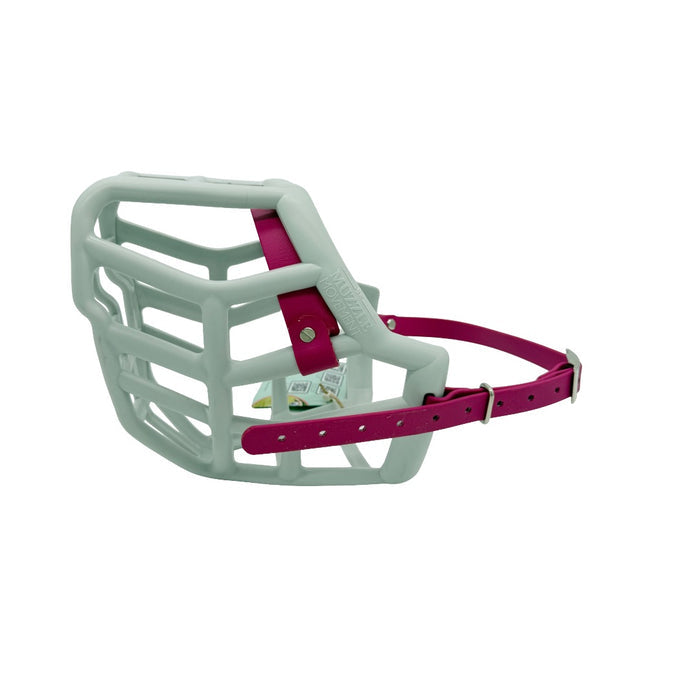 Sunny - Grey with Magenta Pink biothane (Chicago Screws)