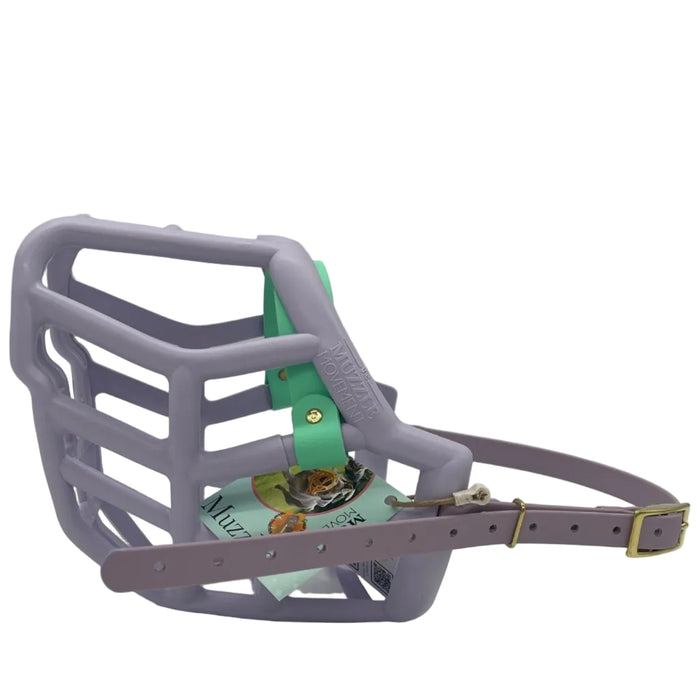 Sunny - Lilac with Caribbean Green noseband & Pastel Purple biothane (Brass)