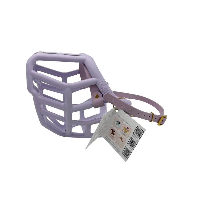 Sunny - Lilac with Pastel Purple biothane (Brass)