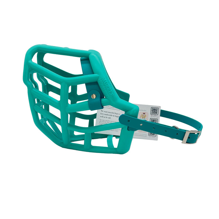 Sunny - Teal with Teal Biothane (Chicago Screws & Nickle)