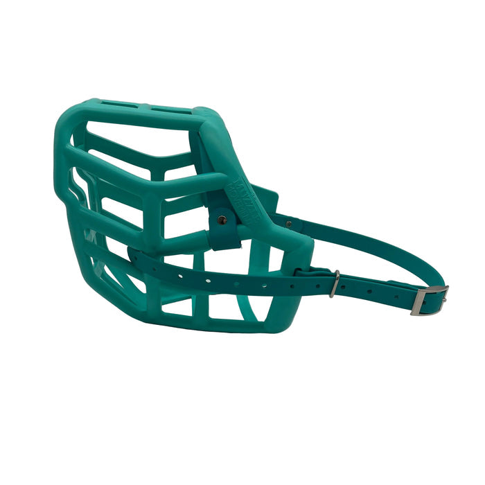 Sunny - Teal with Teal biothane (Buckle)