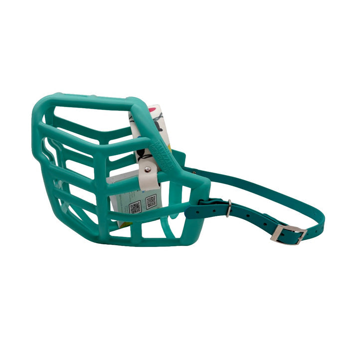 Sunny* - Teal with Twinkling Lights biothane (Nickle)
