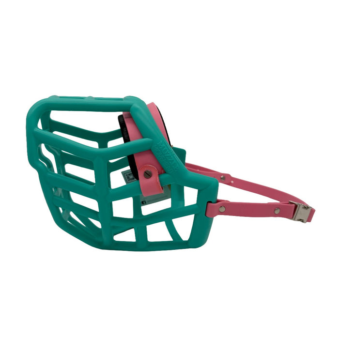 Sunny* - Teal with Pastel Pink biothane & foam noseband (Quick Release)