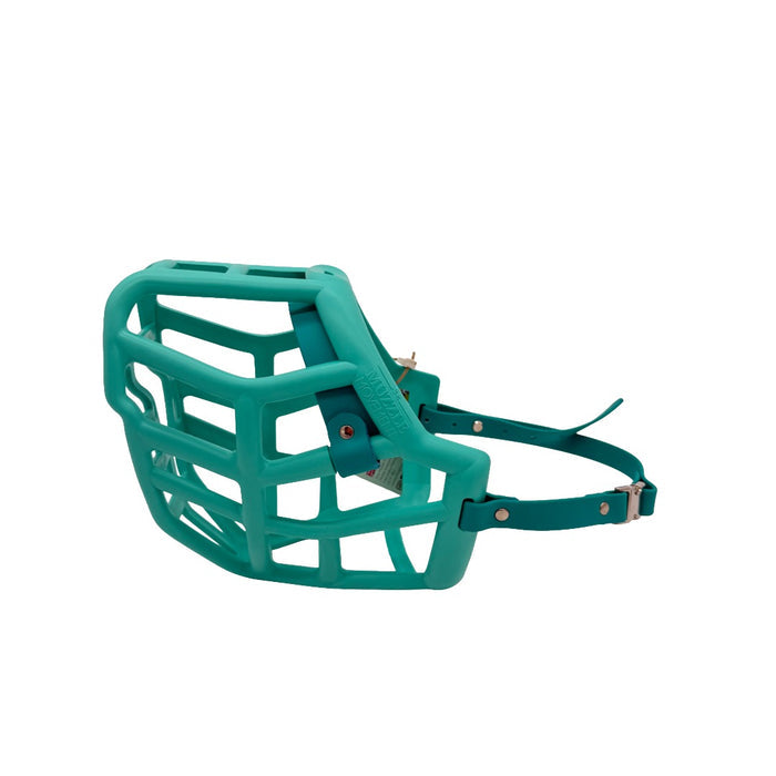 Sunny - Teal with Teal biothane (Quick Release)