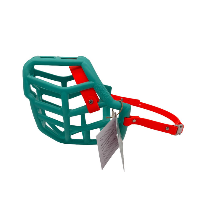 Sunny - Teal with Orange biothane & foam noseband (Quick Release)