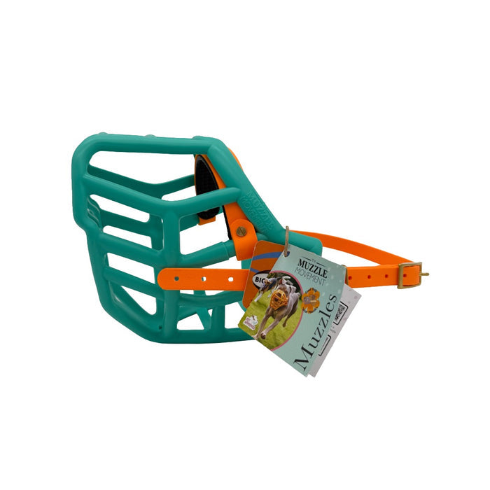 Sunny - Teal with Peach biothane & foam noseband (Brass)