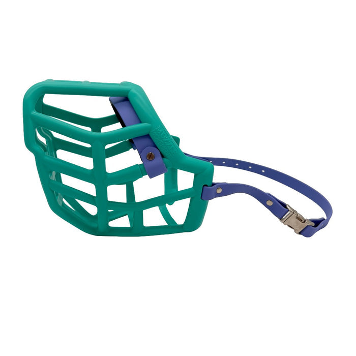 Sunny - Teal with Periwinkle biothane & foam noseband (Quick Release)