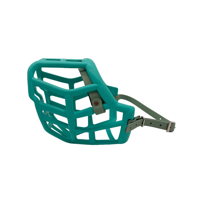 Sunny - Teal with Sage Green biothane & foam noseband (Nickle)