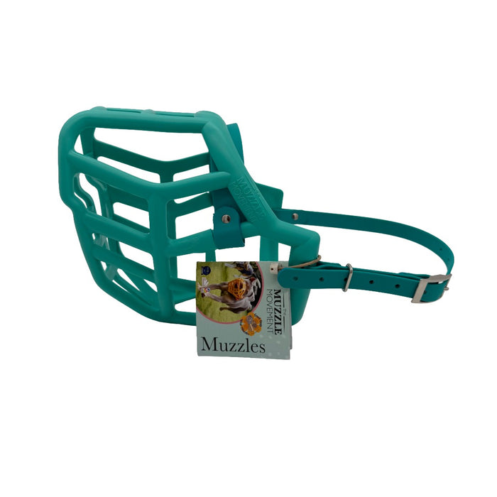 Sunny - Teal with Teal biothane (Rivets & Nickle)