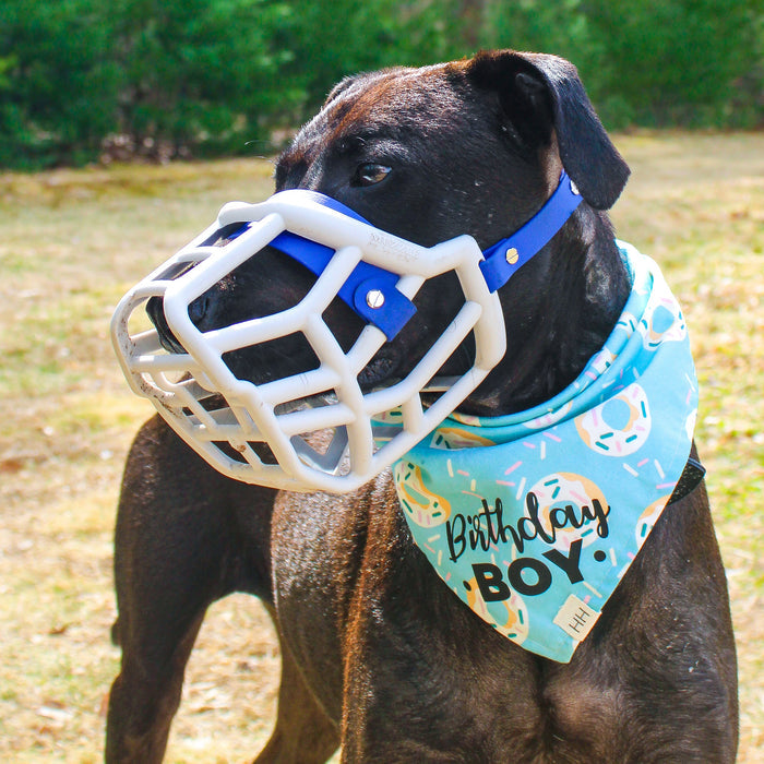 Size Sunny Dog Muzzle- Made to order muzzle with colour customisation