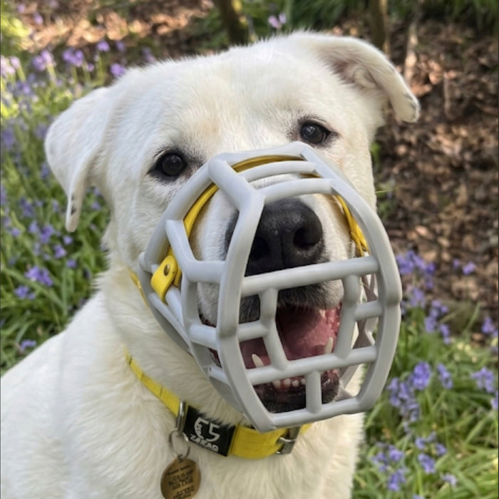 Size Sunny Dog Muzzle- Made to order muzzle with colour customisation