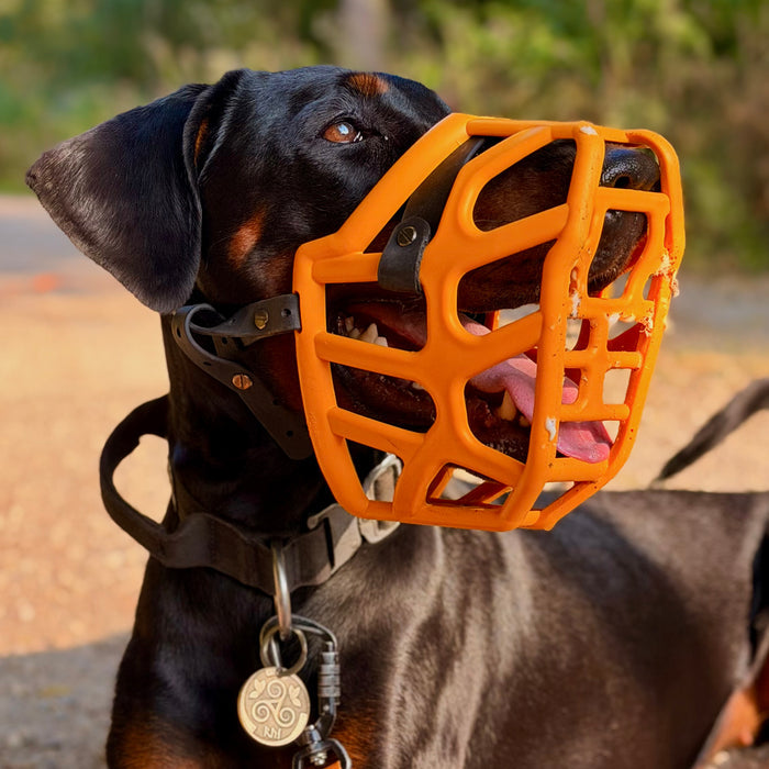 Size Taz Dog Muzzle - Made to order muzzle with colour customisation
