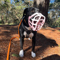 Size Taz Dog Muzzle - Made to order muzzle with colour customisation
