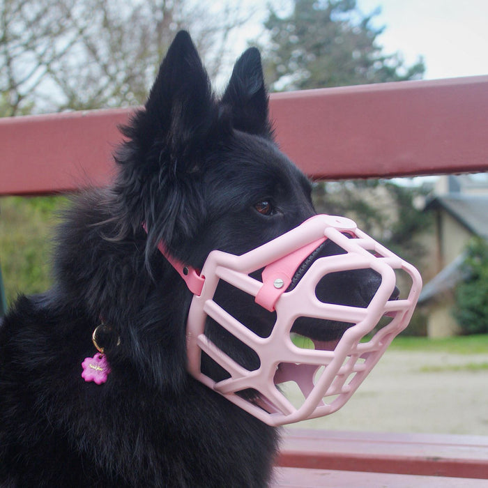 Pastel Pink / Taz*