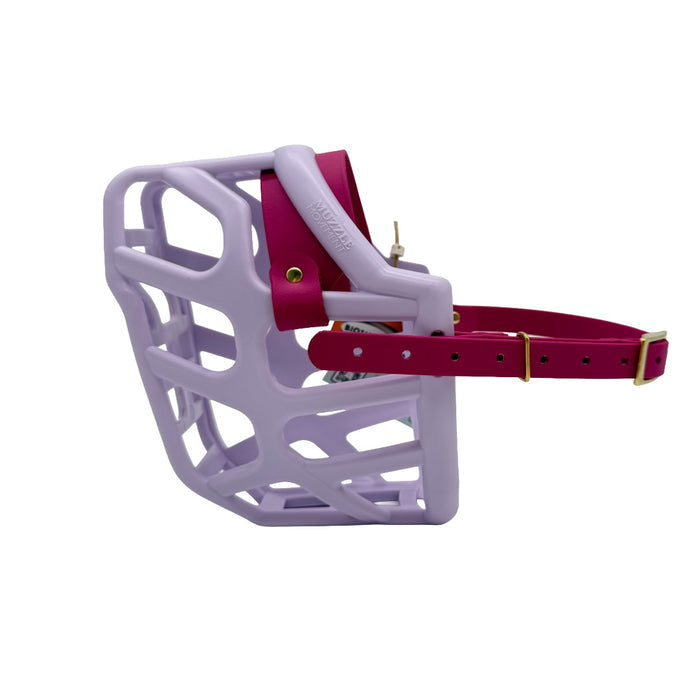 Taz* - Lilac with Magenta Pink biothane (Brass)