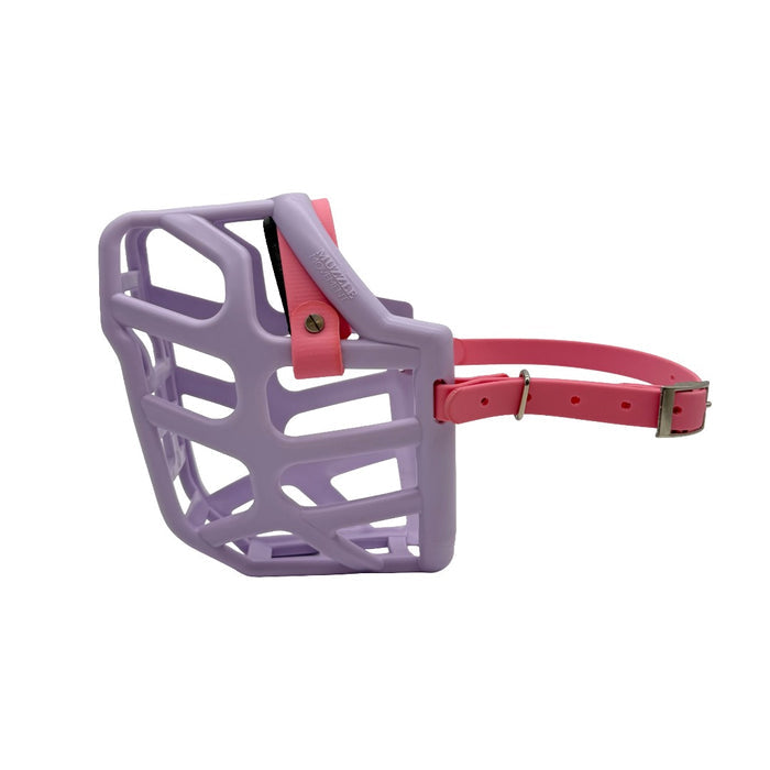 Taz - Lilac with Pastel Pink biothane & foam noseband (Nickle)
