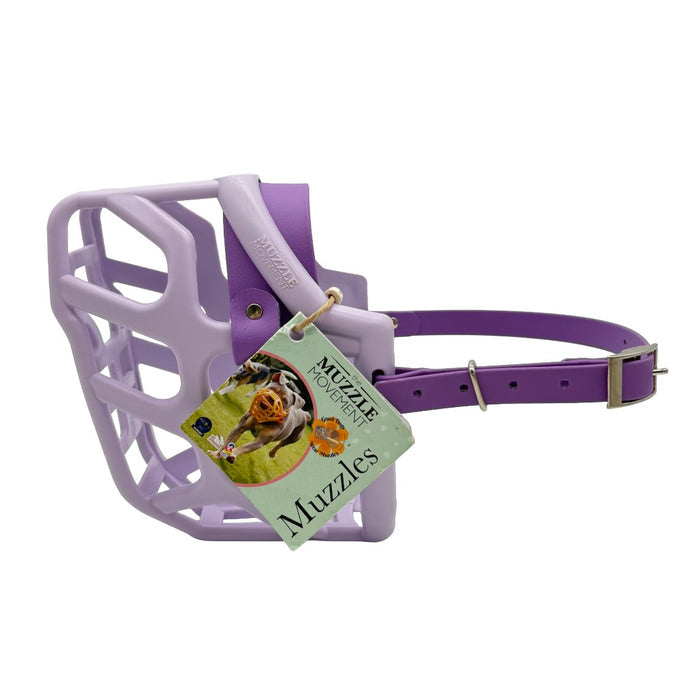Taz* - Lilac with Amethyst Purple biothane (Nickle)
