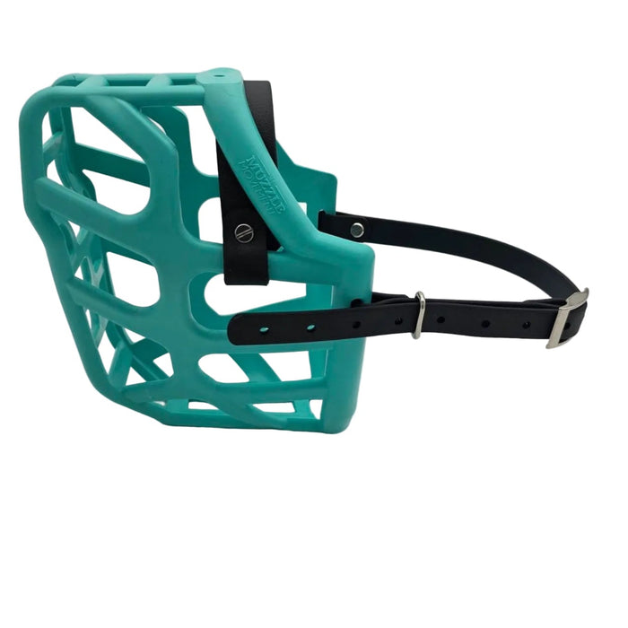 The Muzzle Movement Teal Taz dog muzzle with black straps and nickle hardware on a white background