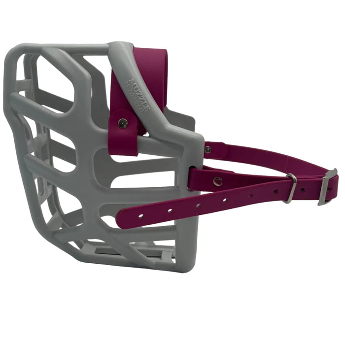 Taz* - Grey with Magenta Pink biothane (Nickle)