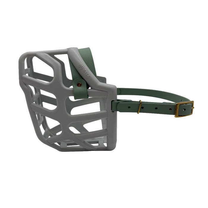 Taz* - Grey with Sage Green biothane (Brass)