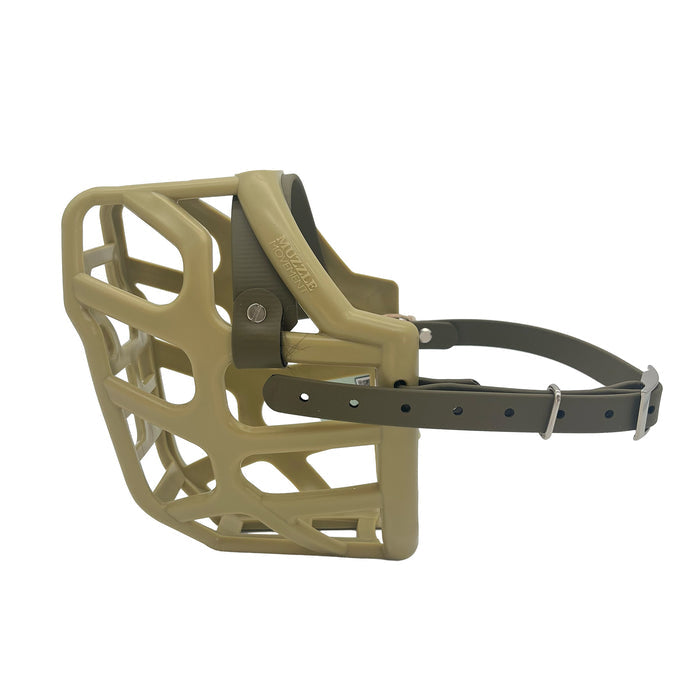 Taz - Khaki with Military Olive Biothane (Chicago Screws & Nickle)