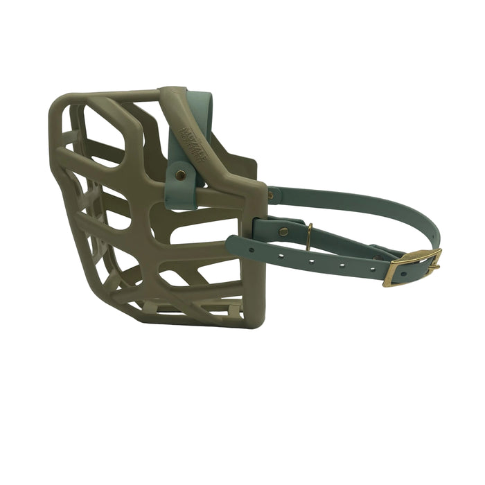 Taz - Khaki with Sage Green biothane (Brass)