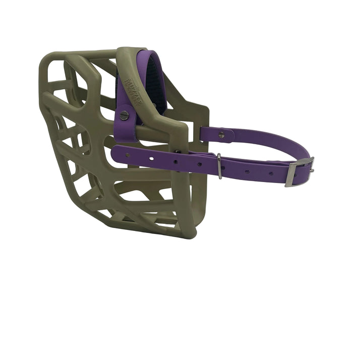 Taz - Khaki with Amethyst Purple biothane & foam noseband (Nickle)