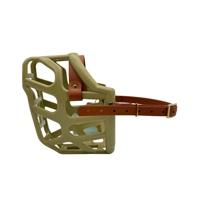Taz - Khaki with Light Brown biothane (Brass)