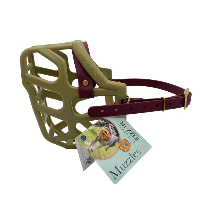Taz - Khaki with Wine biothane & foam noseband (Brass)