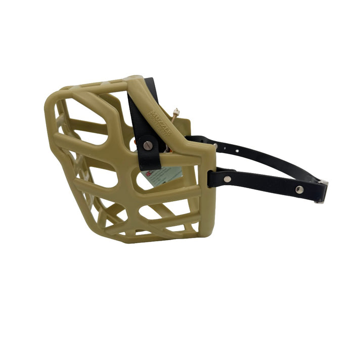Taz - Khaki with Black biothane & foam noseband (Quick Release)