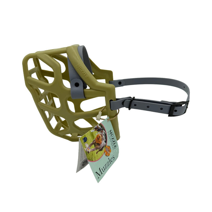 Taz - Khaki with Grey biothane (Black)