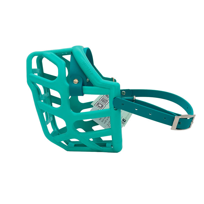 Taz - Teal with Teal Biothane (Chicago Screws & Nickle)