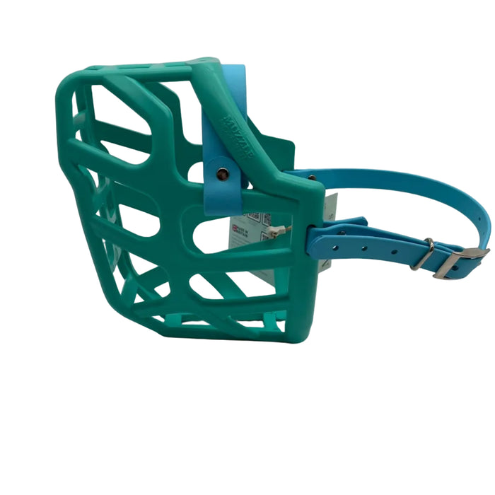 Taz - Teal with Skyan Blue biothane (Nickle)