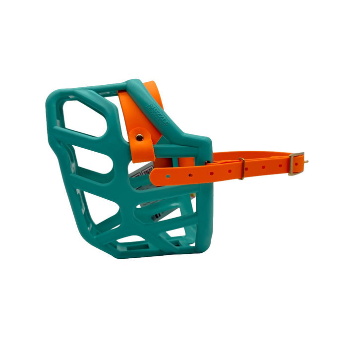 Taz* - Teal with Peach biothane (Brass)