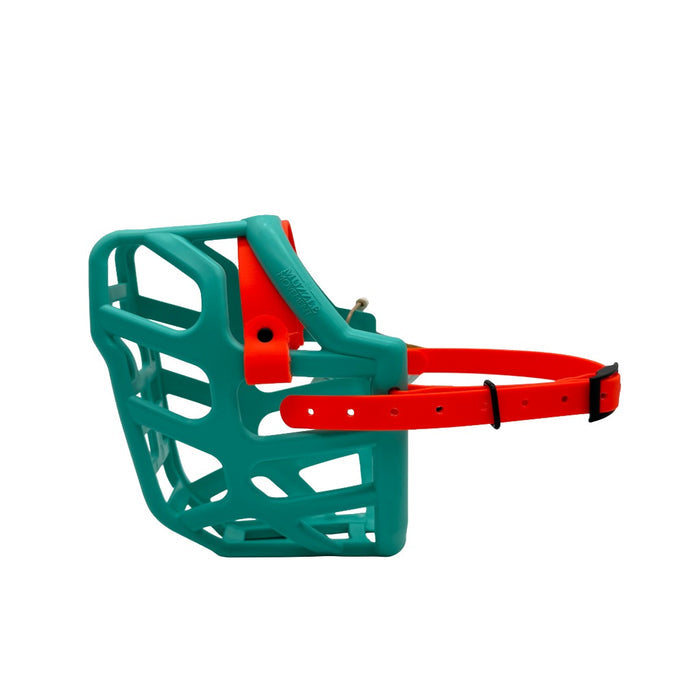 Taz - Teal with Orange biothane (Black)